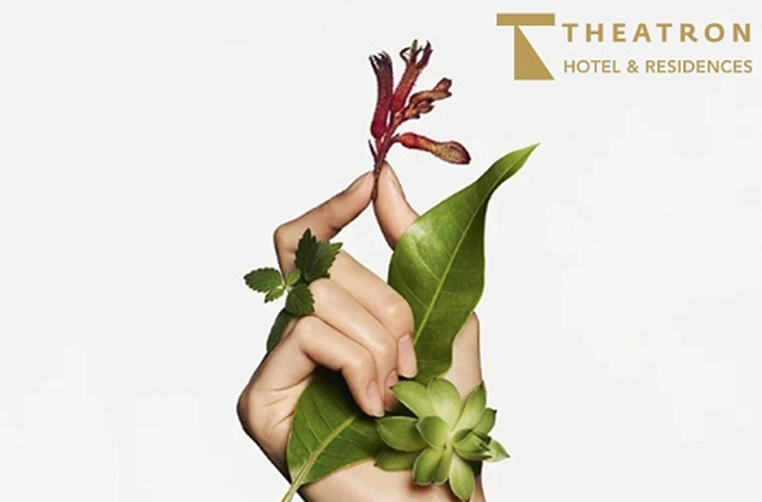 עיסוי הדגל של התאטרון 90 דקות ליחיד בספא קלרינס ירושלים טיפול 50 דקות ליחיד וארוחת בוקר בספא קלרינס ירושלים – תמונה 4